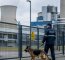 Security Mitarbeiter mit Hund vor Zaun eines Kraftwerkes
